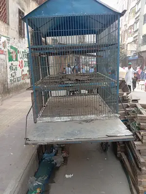 মুরগির ৩ তলা খাঁচা