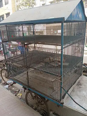 মুরগির ৩ তলা খাঁচা