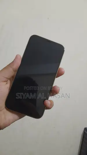 Apple iPhone 12 Pro (Used)