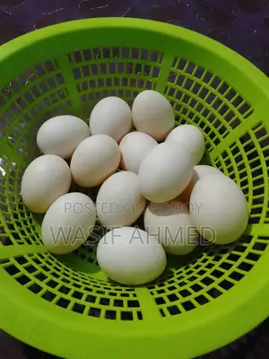 চিনা হাসের বীজ ডিম