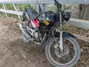 Yamaha Saluto 2006