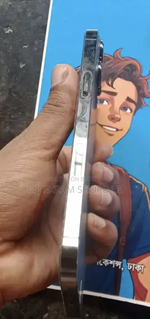 Apple iPhone 13 Pro Max Global Version (Used)