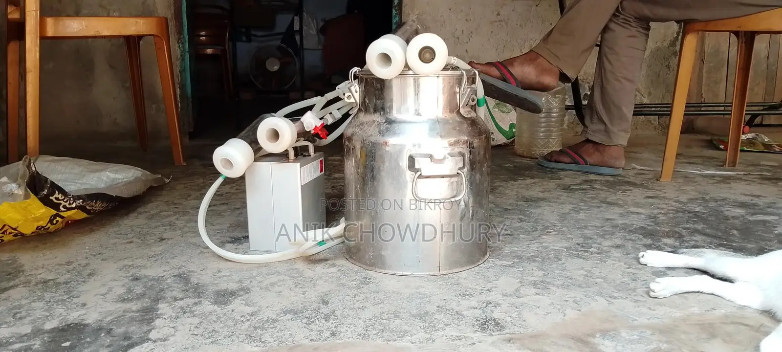 দুধ দোহন ম‍্যাশিন