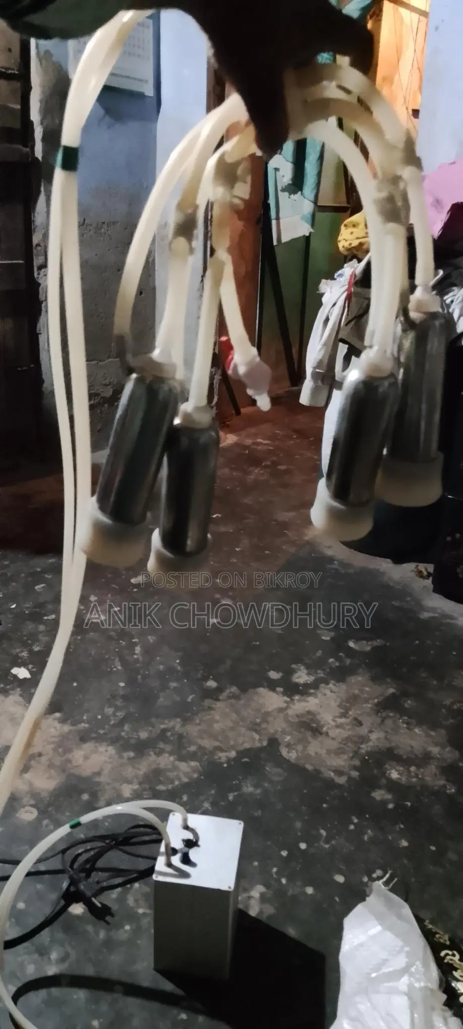 দুধ দোহন ম‍্যাশিন