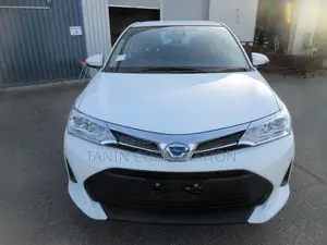 Toyota Axio Hybrid EX 4.5 Grade 2021