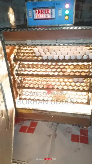 Incubator 410 Used
