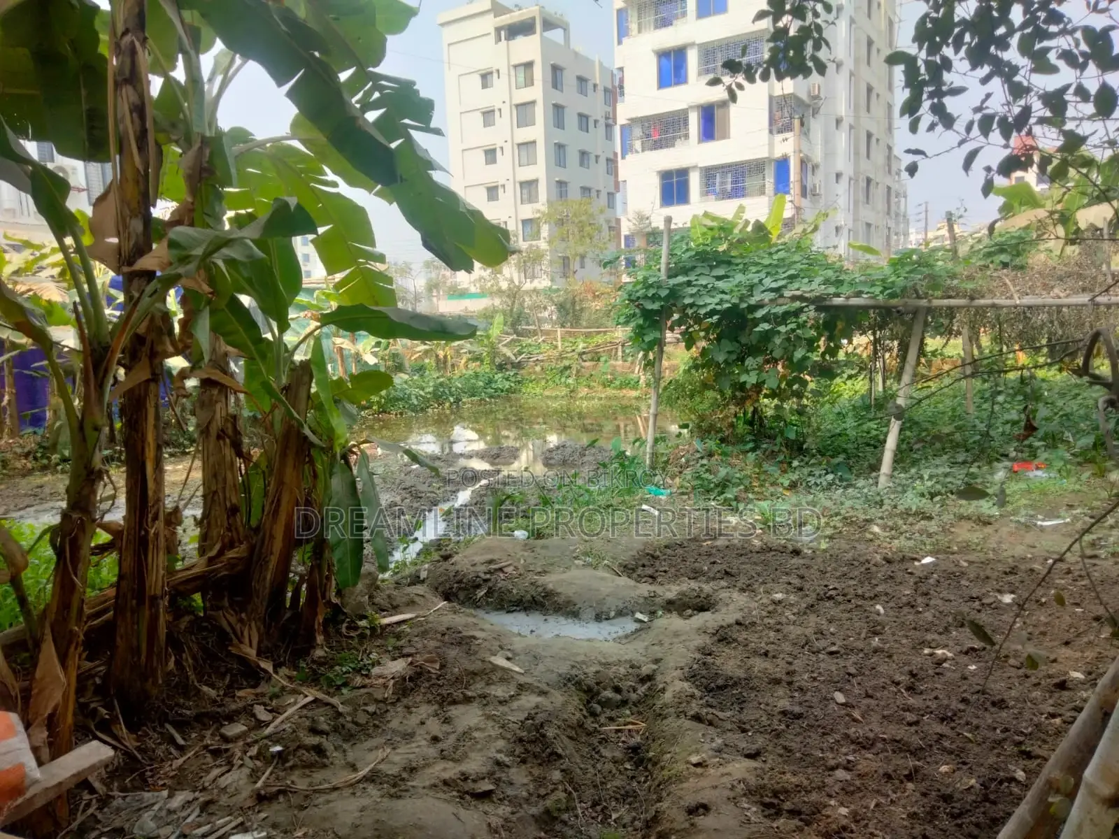 3 katha Plot in L Block, Bashundhara Residential Area For Sale.