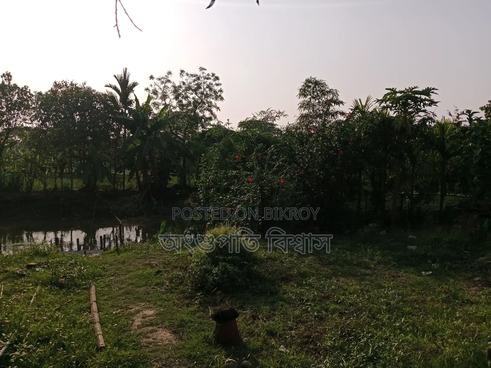 House for sale with land