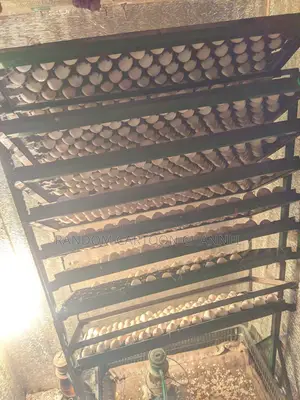 ইনকিউবেটর