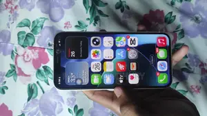 Apple iPhone 12 (Used)