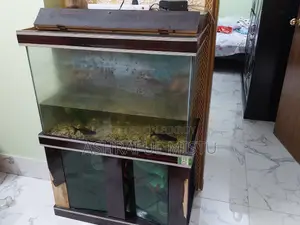 একুরিয়াম