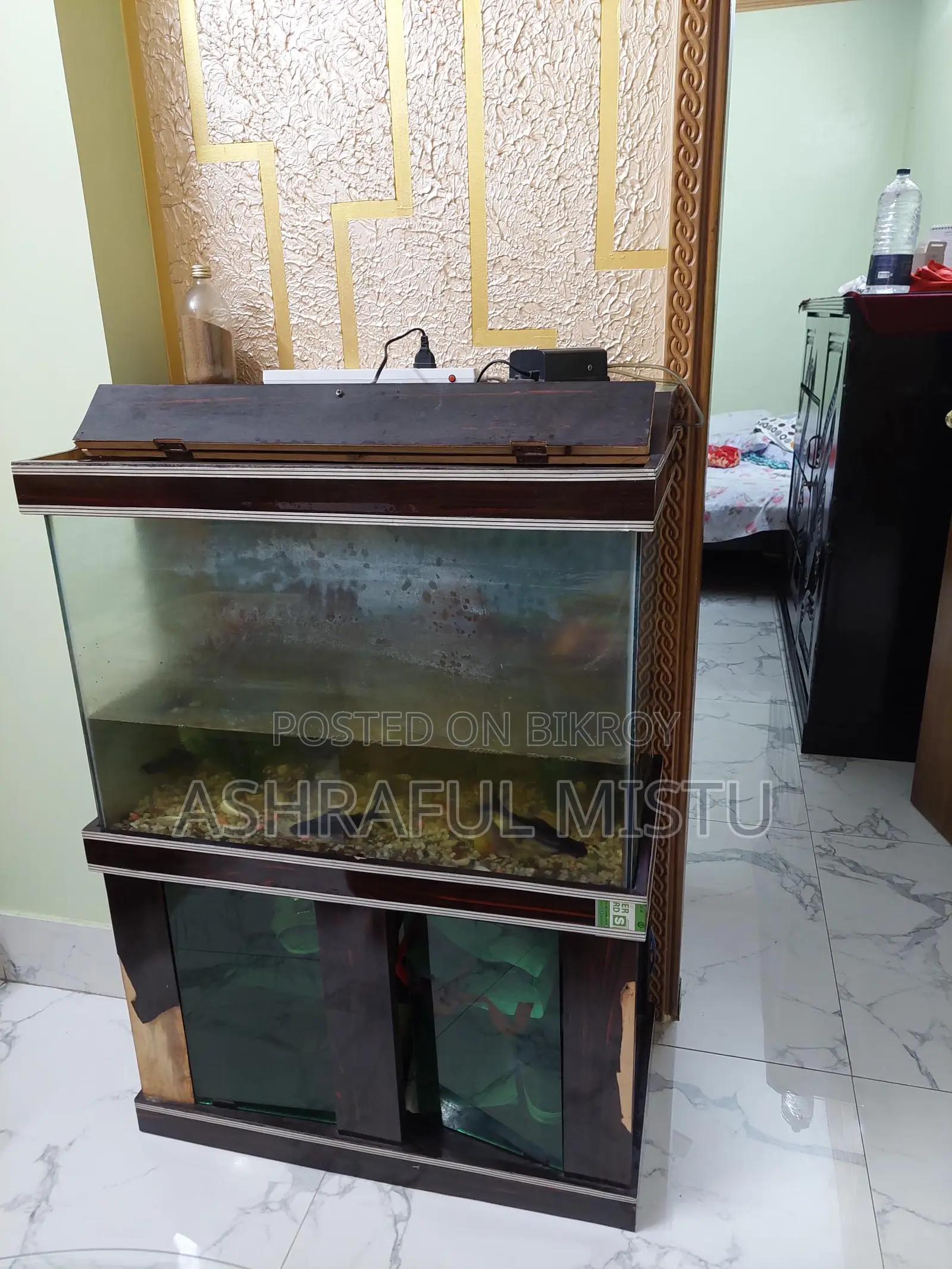 একুরিয়াম