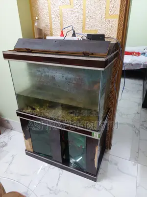 একুরিয়াম