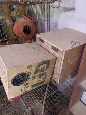 পুরাতন খাঁচা বিক্রি হবে