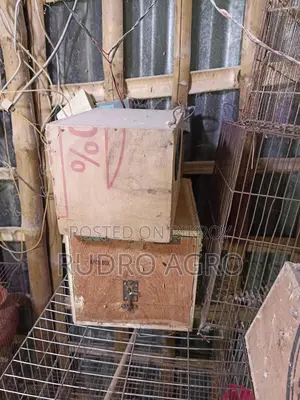 পুরাতন খাঁচা বিক্রি হবে