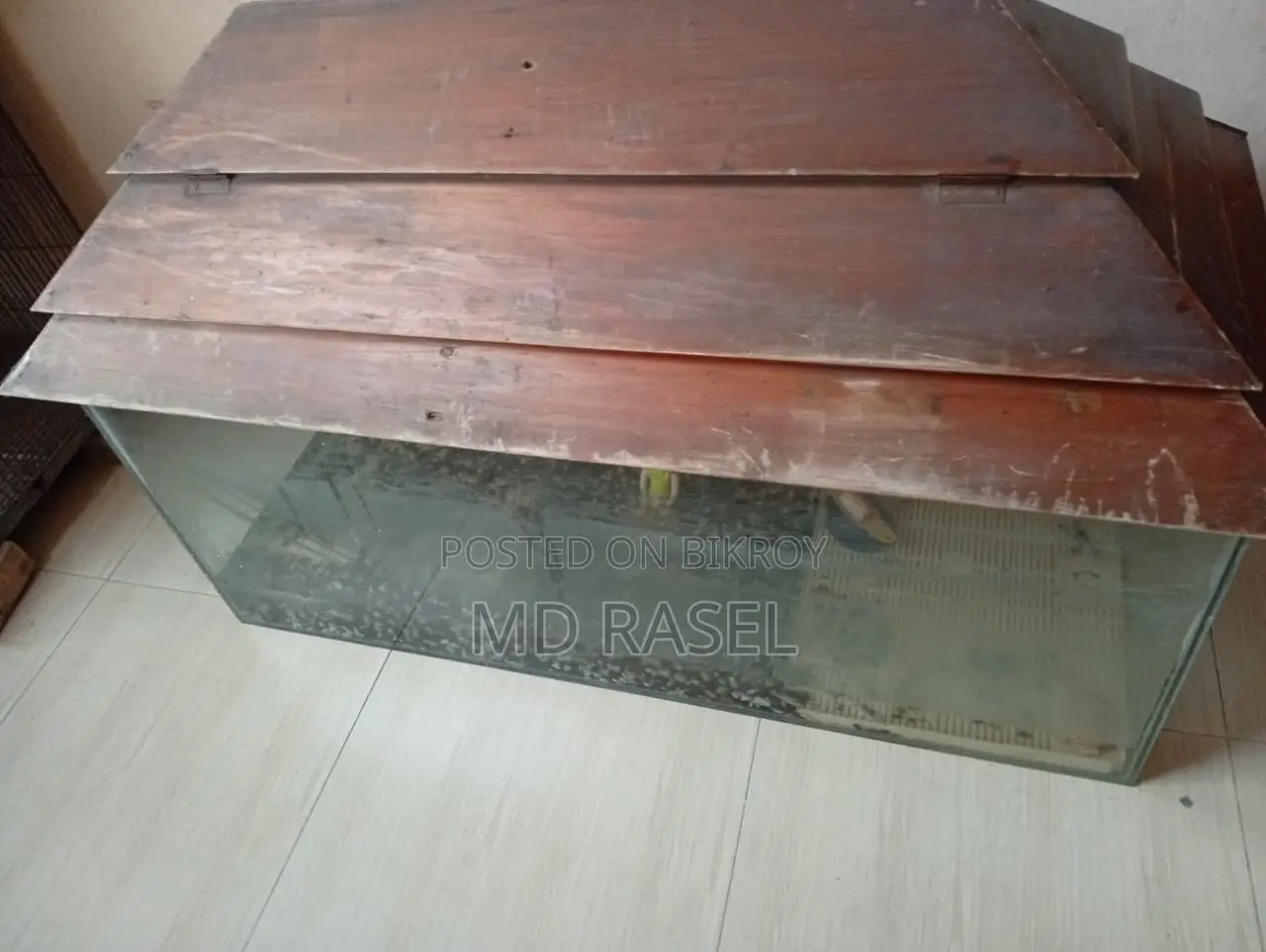 এ্যাকুরিয়াম
