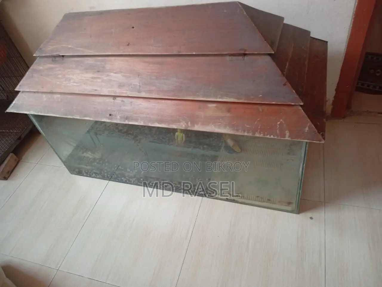 এ্যাকুরিয়াম