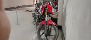 Zaara 100 Full Fresh 2018