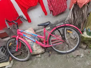 Girls' Bicycle