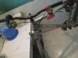 Duranta Bicycle for sale