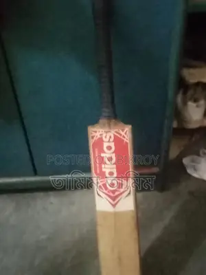 Cricket Bat