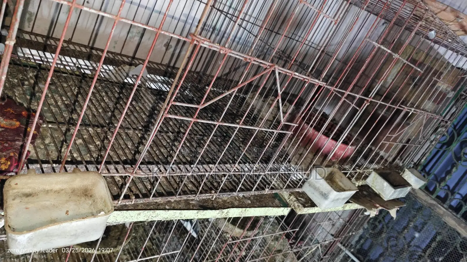 কবুতরের খাঁচা