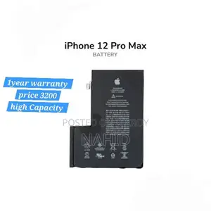 iPhone 12 Pro Max Display and Battery
