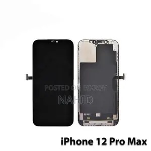 iPhone 12 Pro Max Display and Battery