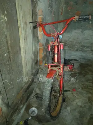 High-Quality Sturdy Bicycle