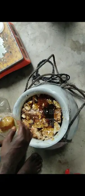 Pure Honey from Beehives