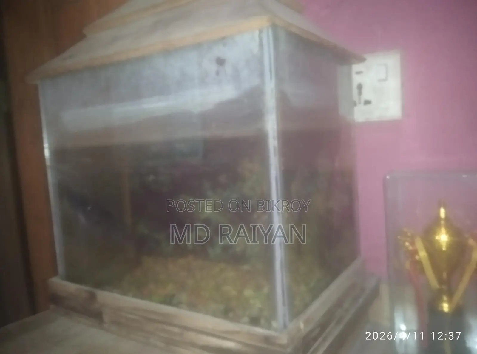 Fish tank with fish and oxygen pump