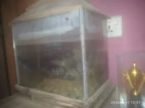 Fish tank with fish and oxygen pump