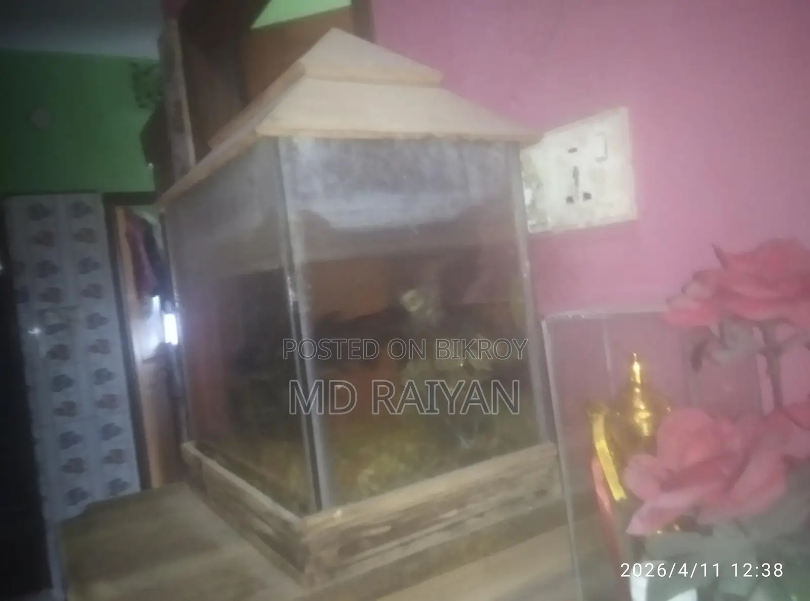 Fish tank with fish and oxygen pump