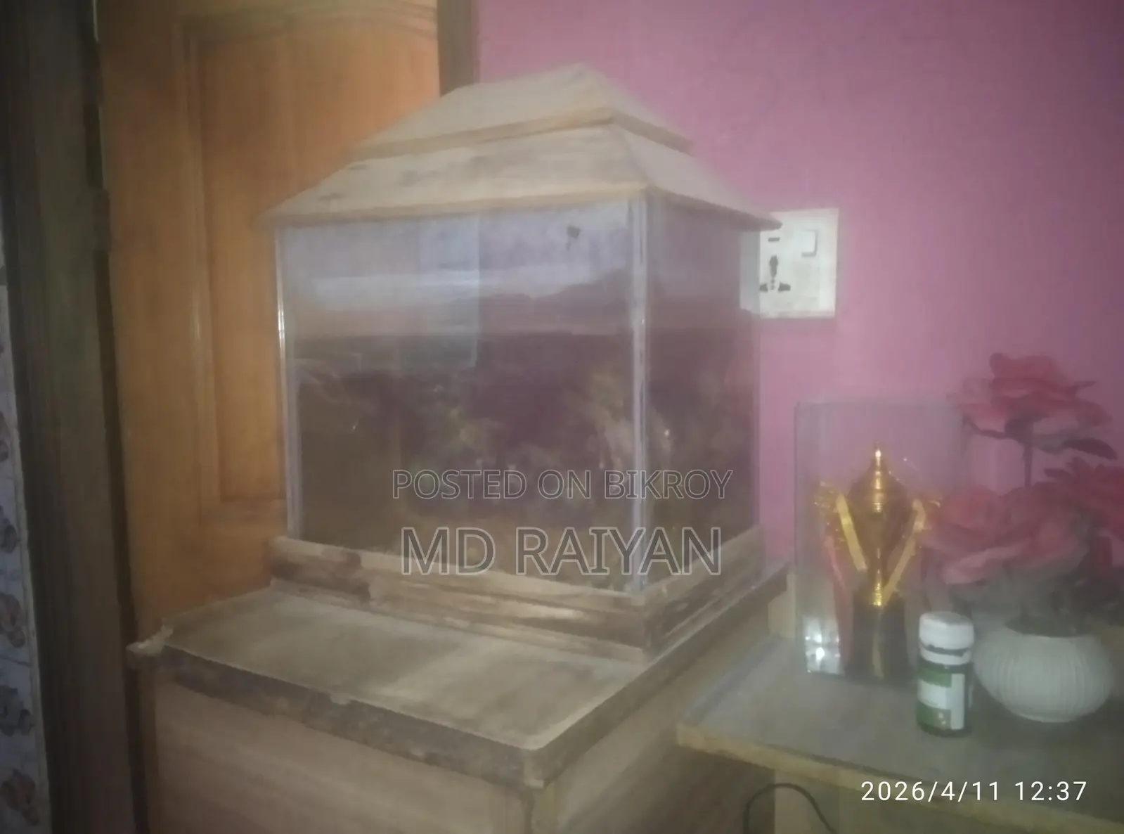 Fish tank with fish and oxygen pump