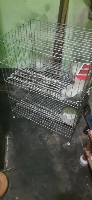 মুরগি ও পাখির খাচা নতুন কিছু দিন ব্যাবহার হয়েছে২তলা
