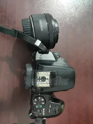 Canon 250D with Prime Lens
