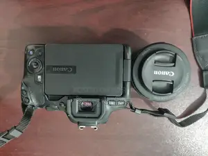 Canon 250D with Prime Lens