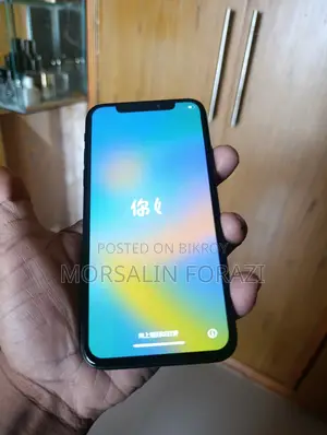 Apple iPhone X (Used)