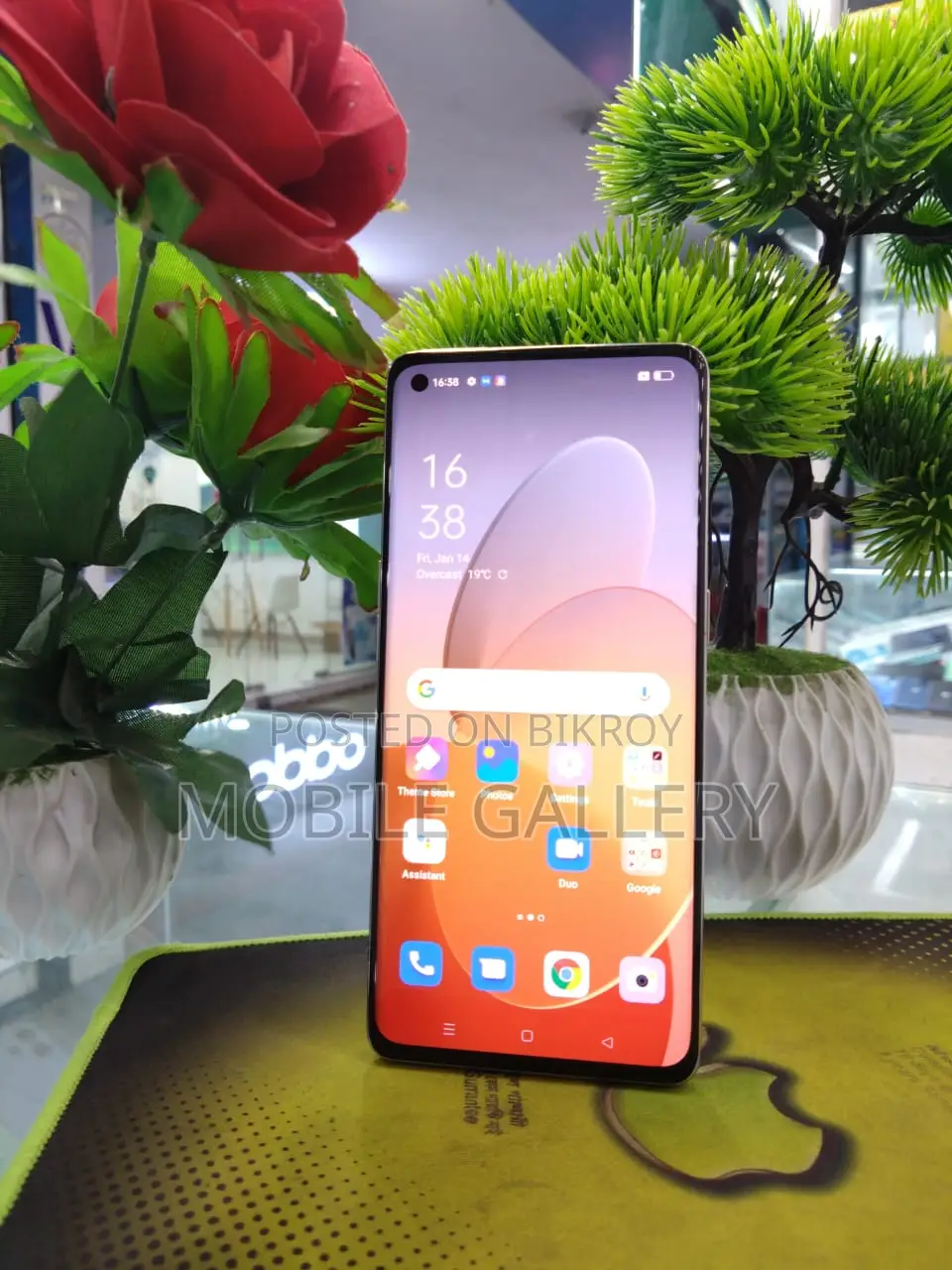 OPPO Reno 5 Pro 12+256hot প্রাইস (Used)
