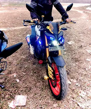 Yamaha MT 15 2025