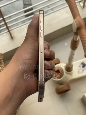 Apple iPhone 16 Pro Max (Used)