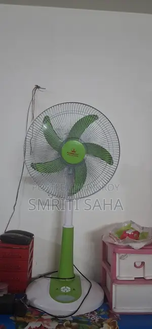 A Great Fan