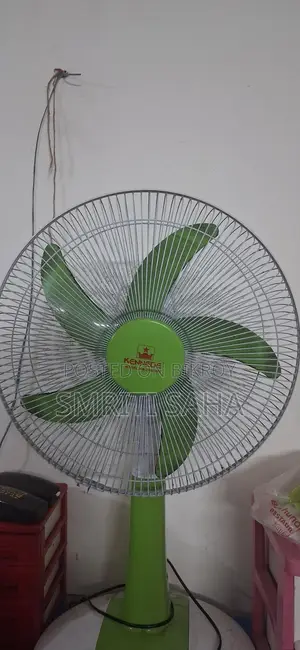 A Great Fan