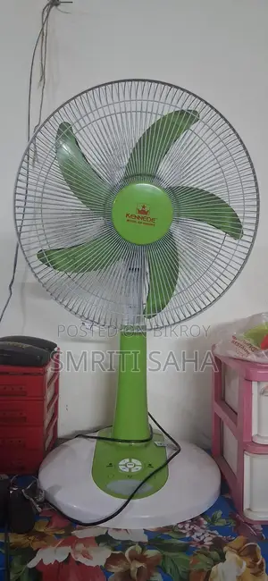 A Great Fan