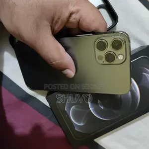 Apple iPhone 12 Pro 256GB (ব্যবহৃত)