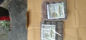 টবের গাছের পুষ্টির সহজ সমাধান – সবুজ বন্ধু বড়ি