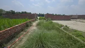 100% Ready Plot