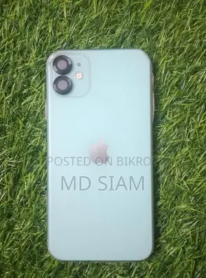 Apple iPhone 11 (Used)