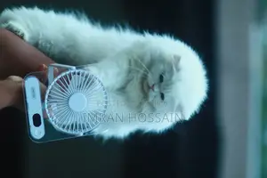 Desktop Mini Fan