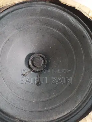 Original Speaker